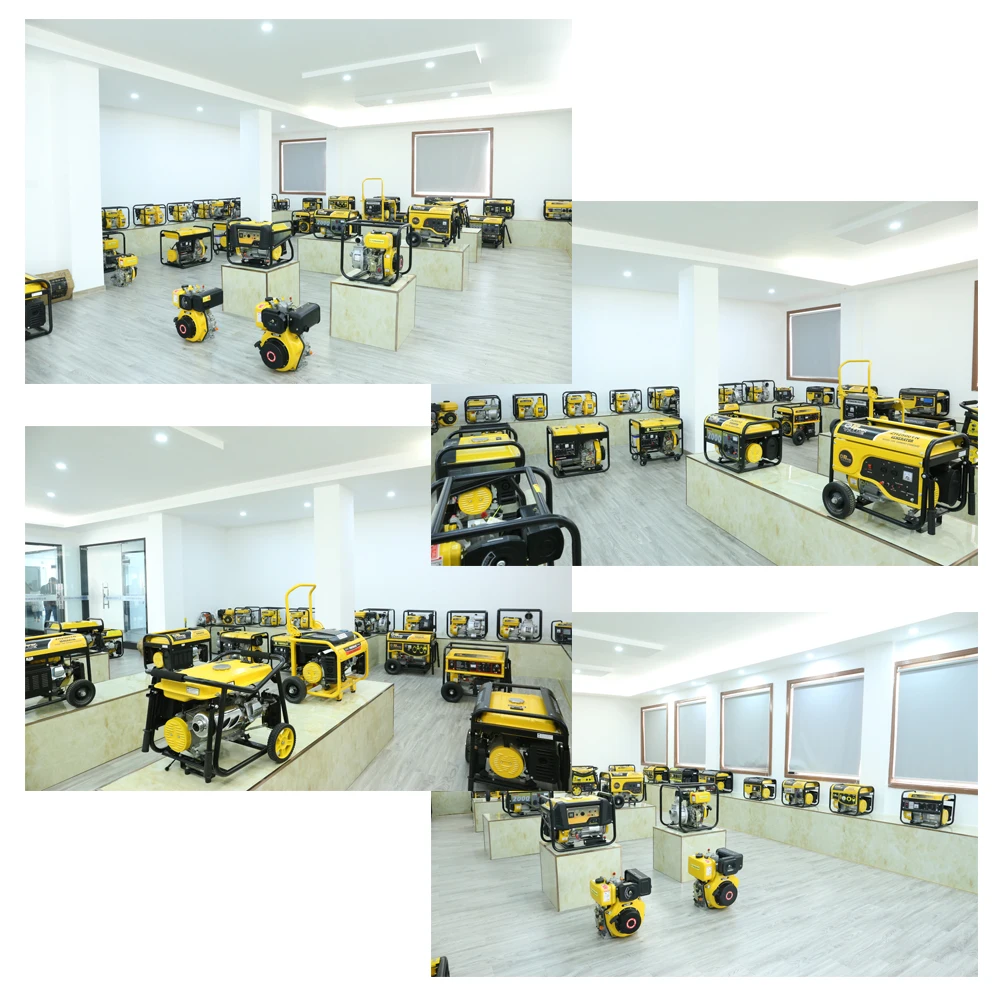 Generator Manufacturer Small Generator 950 12V 650w 500w 450w DC Generator