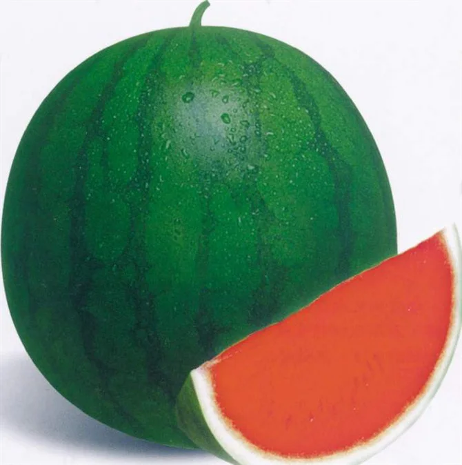 buy seedless watermelon seeds,hybrid seedless watermelon seeds