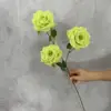 3 teste di diamante rosa