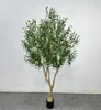 180cm (removable trunk)