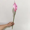 rose YL80450-1