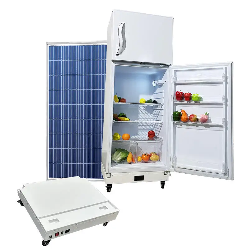 Solar Deep Freezer Refrigerator Filter Samsung Bag Refrigerator/Fridge Glass Door 200 Litres for Sale System