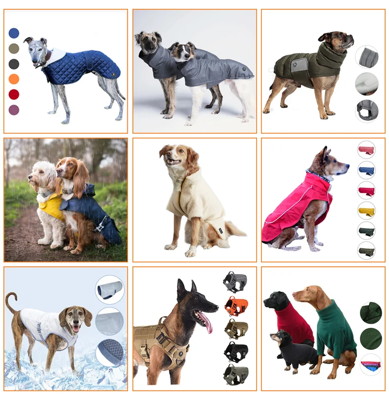 Manufacturer Wholesale Multi-colors Coat Whippets Italian Greyhounds ...