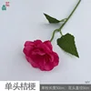 Campanilla de una sola cabeza WY, rojo rosado.