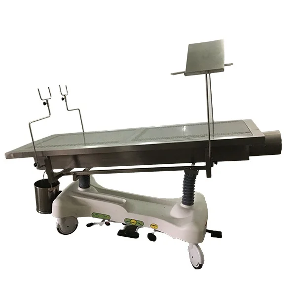 Roundfin Hospital Embalming Machine Anatomy Dissection Table