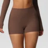 Chestnut color Shorts