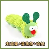 Chenille verte (galle à l'herbe à chat)
