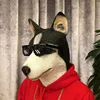 Husky headgear