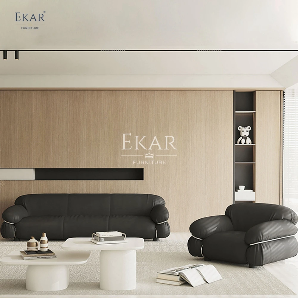 product new design ekar modern living room sofa furniture in nappa leather and half leather-61