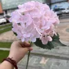 72 fiori di ortensia rosa chiaro, morbidi al tatto e riempiti di gel.