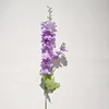 สีม่วง