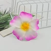 Bord rouge rose