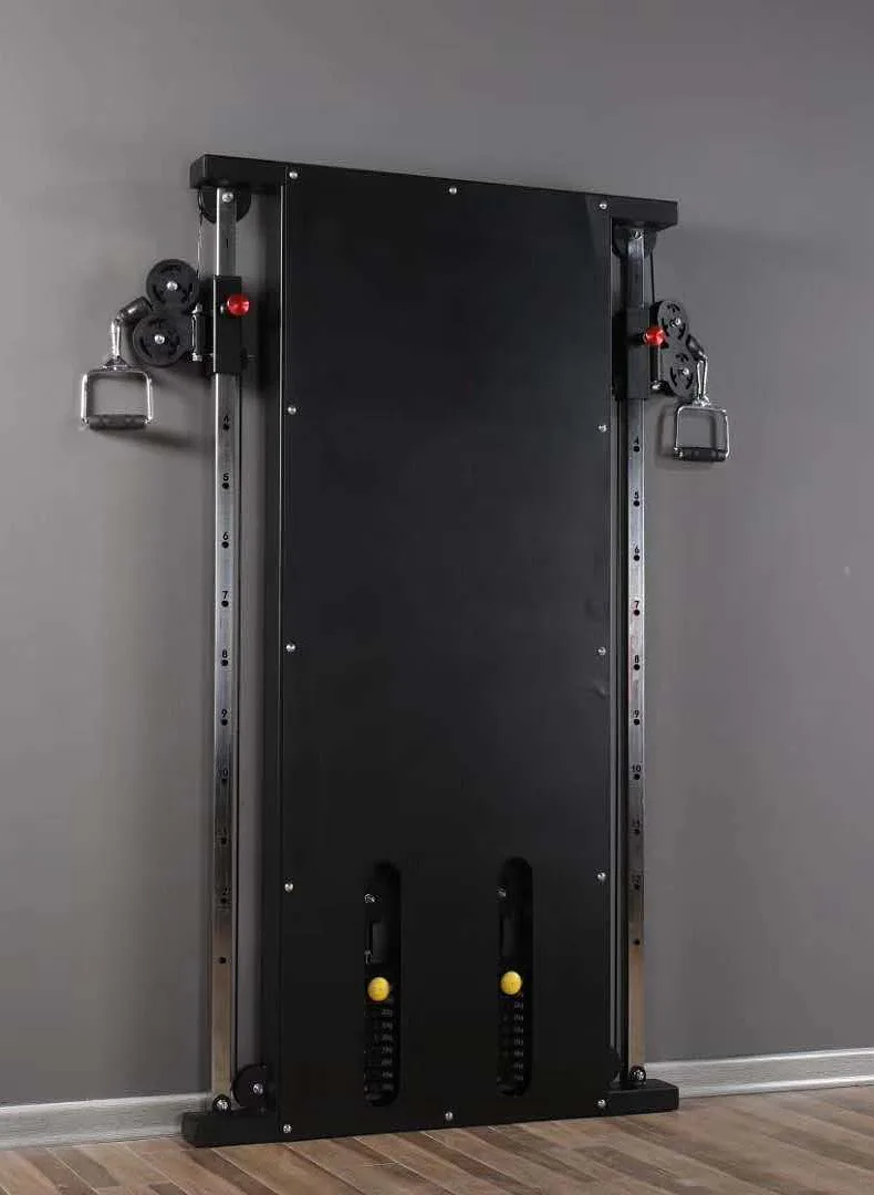 FTS Glide Functional Trainer Wall-Mounted Cross Trainer for Home and Commercial Gym Training Made of Durable Plate supplier