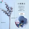 Blue Dancing Orchid DG