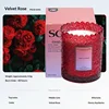 Velvet Rose
