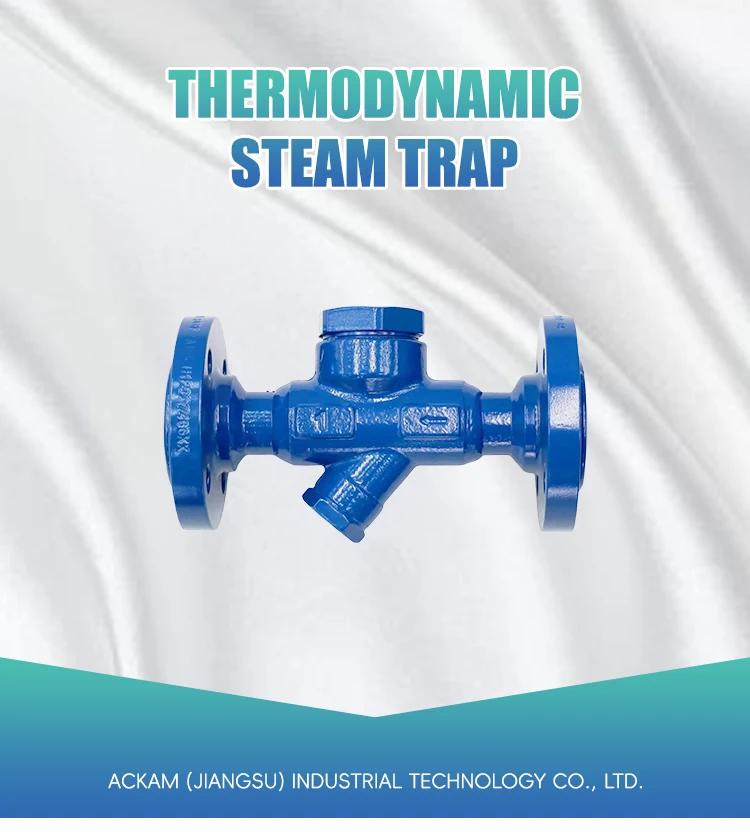 AcKaM Chinese Professional ATD542 Thermodynamic Steam Trap Manual Control General Application details