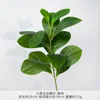 WS-Small Single-stem Bean Leaf