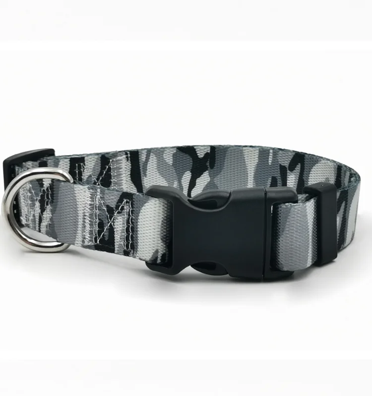 custom printed dog collars