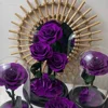 Classic Purple (without Light and Gift Box)