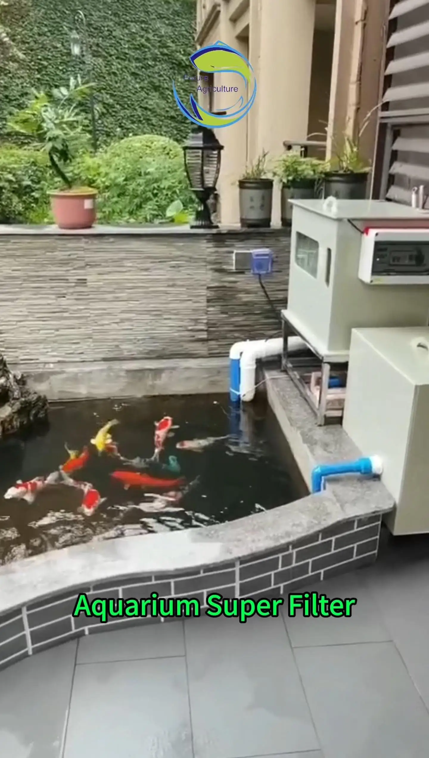 Recirculating Aquaculture System - Efficient Fish Farming