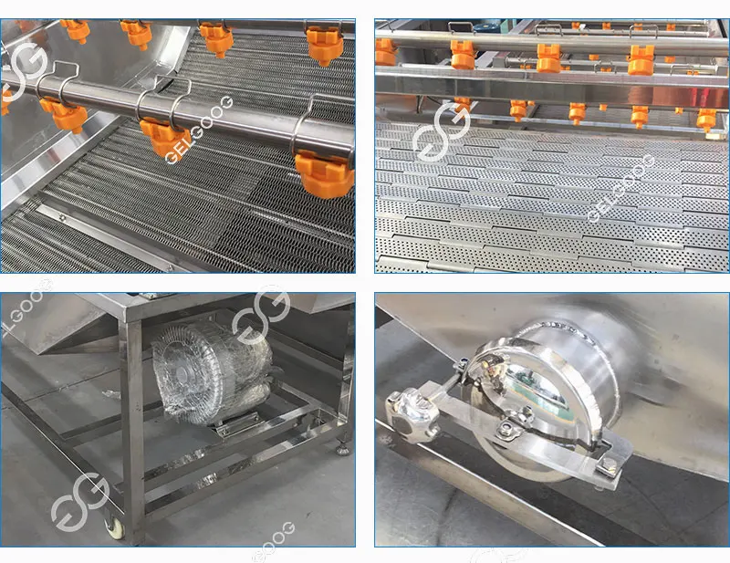 Palm Date Fruit Sorting Brushing Cleaning Machines Dates Processing ...