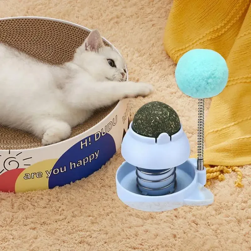 Catnip Wall Toys Rotatable Cat Licking Balls Edible and Healthy With Spring Ball Catnip Bubbles Lickables for Cats Catnip Ball