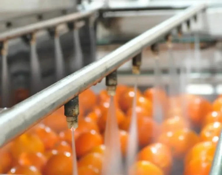 Washing Cleaning Machine Fruit Color Sorter Machine for Fruit and Vegetable