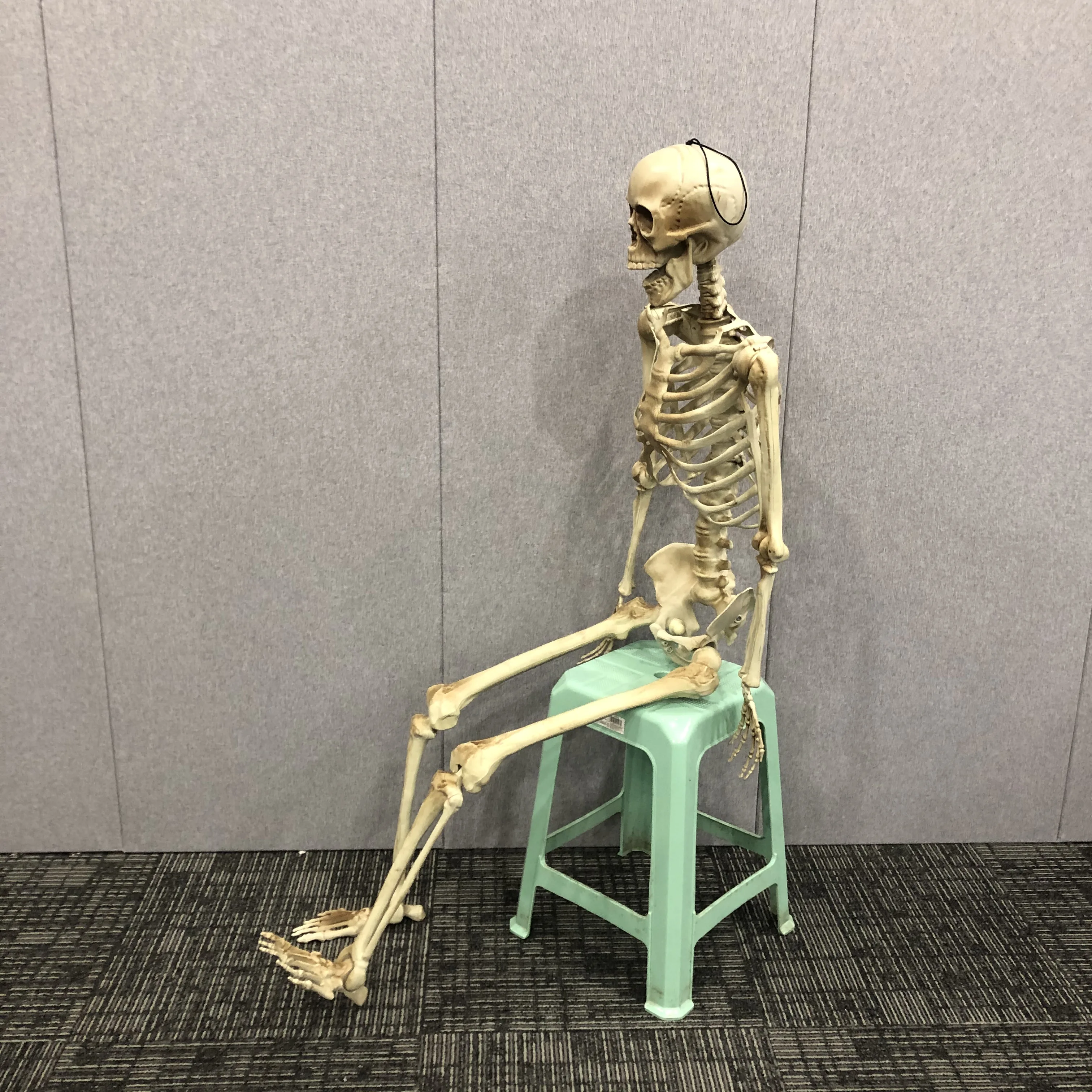 Good shop us 165cm Real Life Size Poseable Human Skeleton Bones Halloween Hanging Decor 