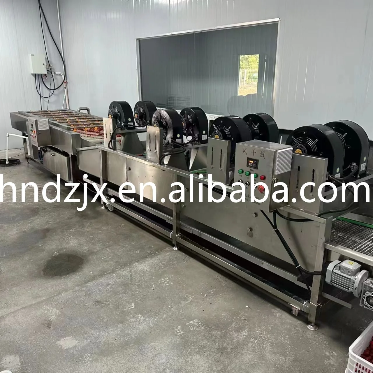 DZJX Continuous Water Bubble Fruit and Vegetable Papaya Aloe Vera Apple Wash Peeling Cleaning Washing Machine