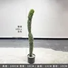 Cactus mexicano - 100CM (viene con base negra)