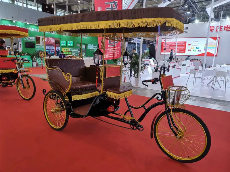 Electric Rickshaw - Efficient Cargo Bike for Passengers