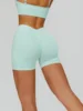 Aqua Green shorts
