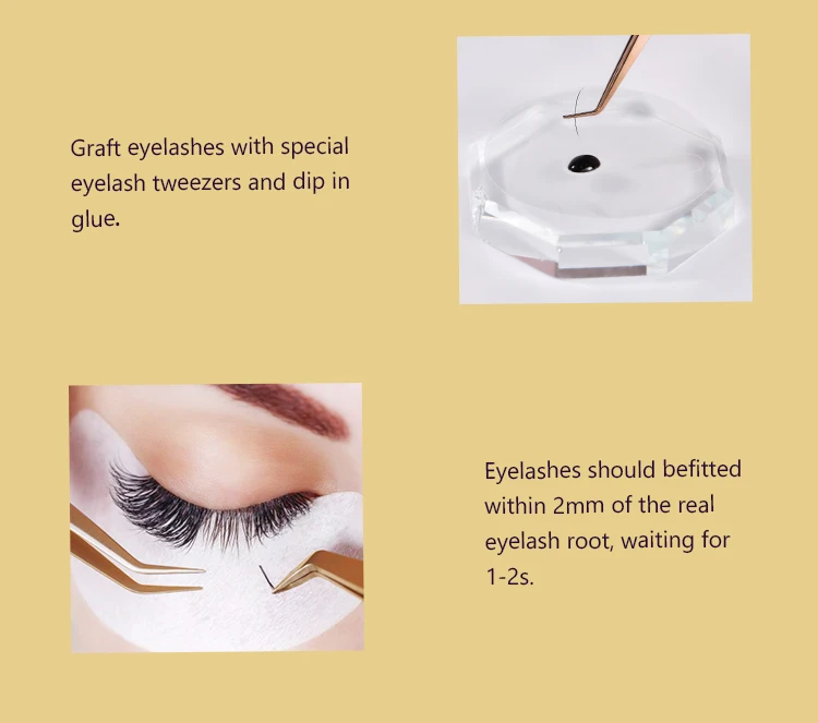 Unimore Japan Top Eyelashes Glue Permanent Materials Storage