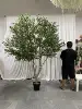 2.5M/8.20Ft; Senza pentola