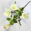 White 04