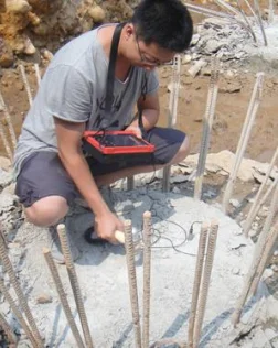 low strain pile (2).png