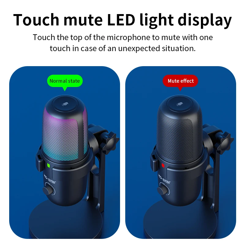 Professional Omnidirectional Desktop Microphone Low Frequency Microphone Condenser Microphone and Audio Interface