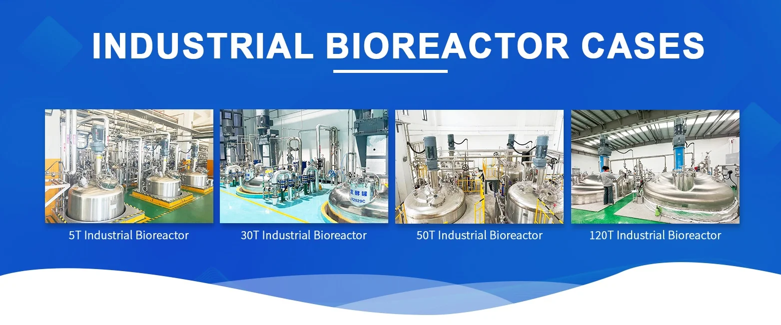 Stir O2 Tank Stir Tank Bioreactor for Industrial Antibiotics Production