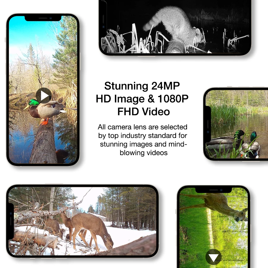 Willfine Cellular Wildlife Hunting Game Wild Camera Wildcamera Photo Trap Wildkamera 4g Trail Cam Trailcam