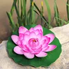 Pink Eva lotus flower [Leaves approximately 28cm]