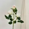 Autumn white