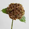 Marrón