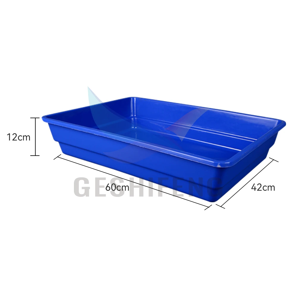 Pigeon Bird Pet Water Feeder Keep Healty tank for Pigeon Swimming Bathtub