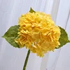 สีเหลือง