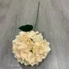 Champagne