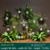 Conjunto de cactus tropicales listos para colocar