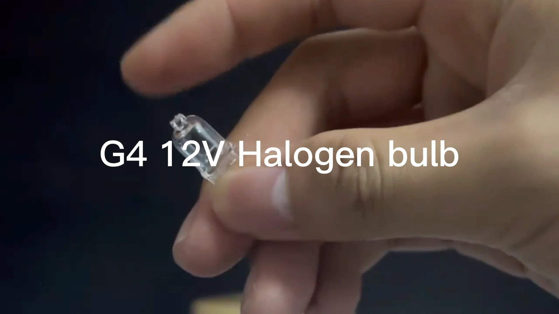 High Quality G4 Halogen Lamp Dimmable Light Landscape Lighting G4 ...