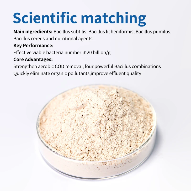 Alibaba.com: BioPower300 Aerobic Enhanced Bacteria 20kg/Barrel Grayish ...