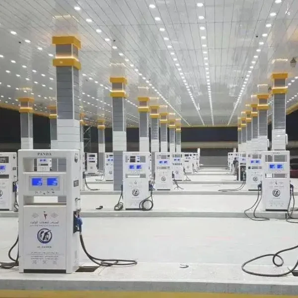 Chinese New Product Petrol Station Equipment Single Pump Fuel Dispenser
