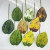 Feuilles de bougie en cristal - Vert